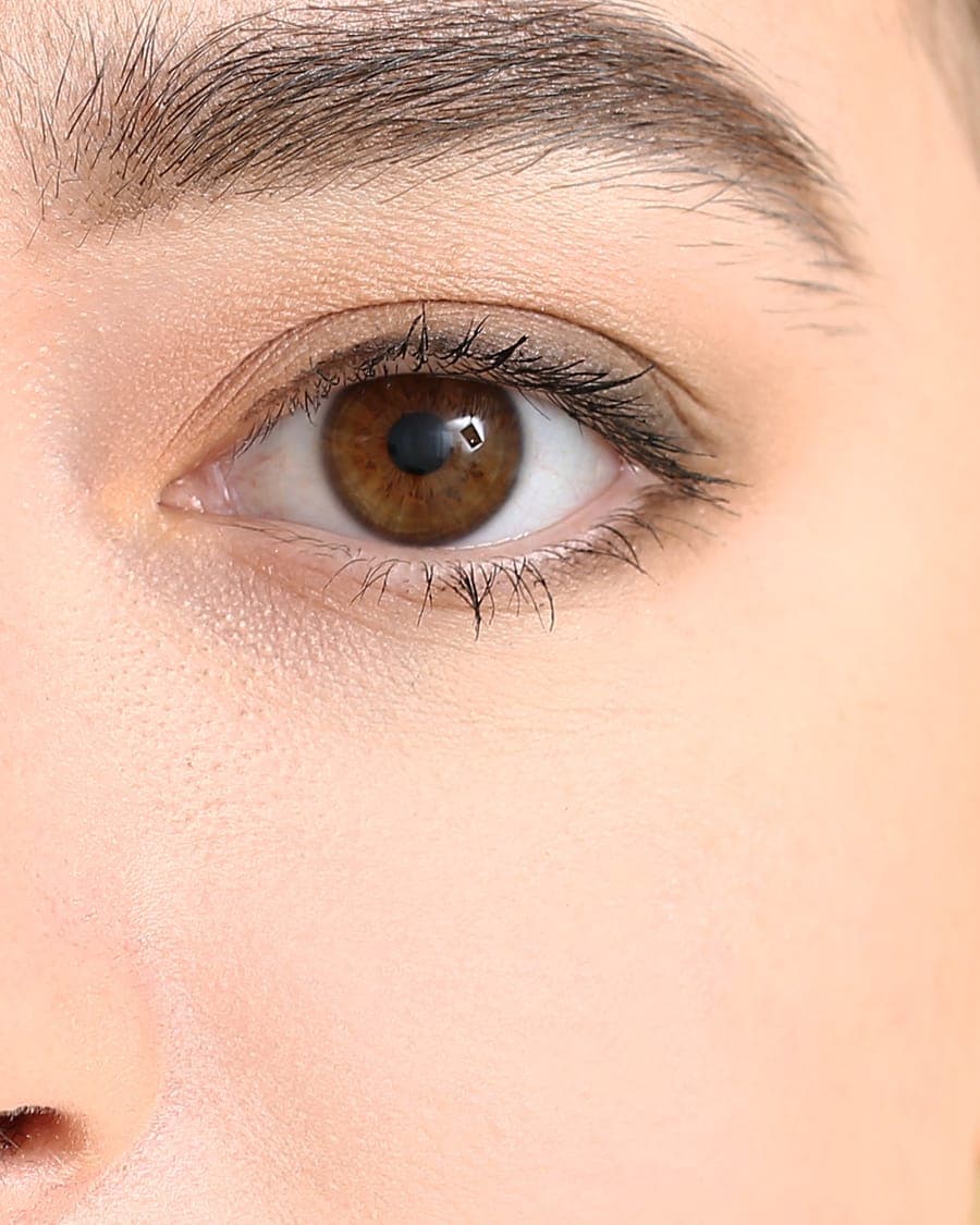 Close-up of the eye area